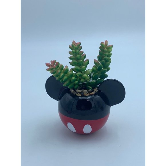 Disney Mickey and Minnie Mouse mini planters with Faux Succulents - Picture 5 of 10